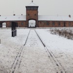 Auschwitz10