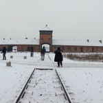 Auschwitz3