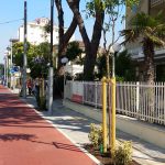 piantumazione-riccione04